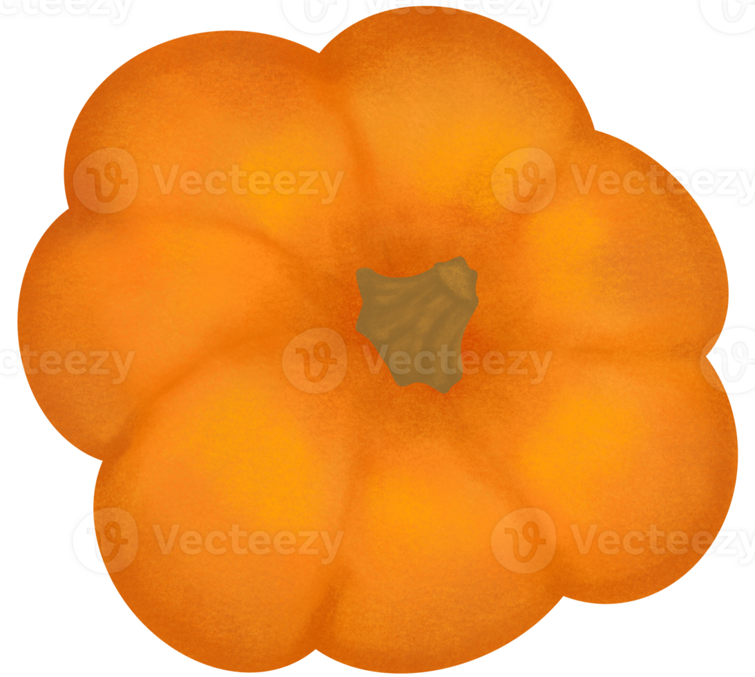 citrouille tomber l'automne clipart illustration. png