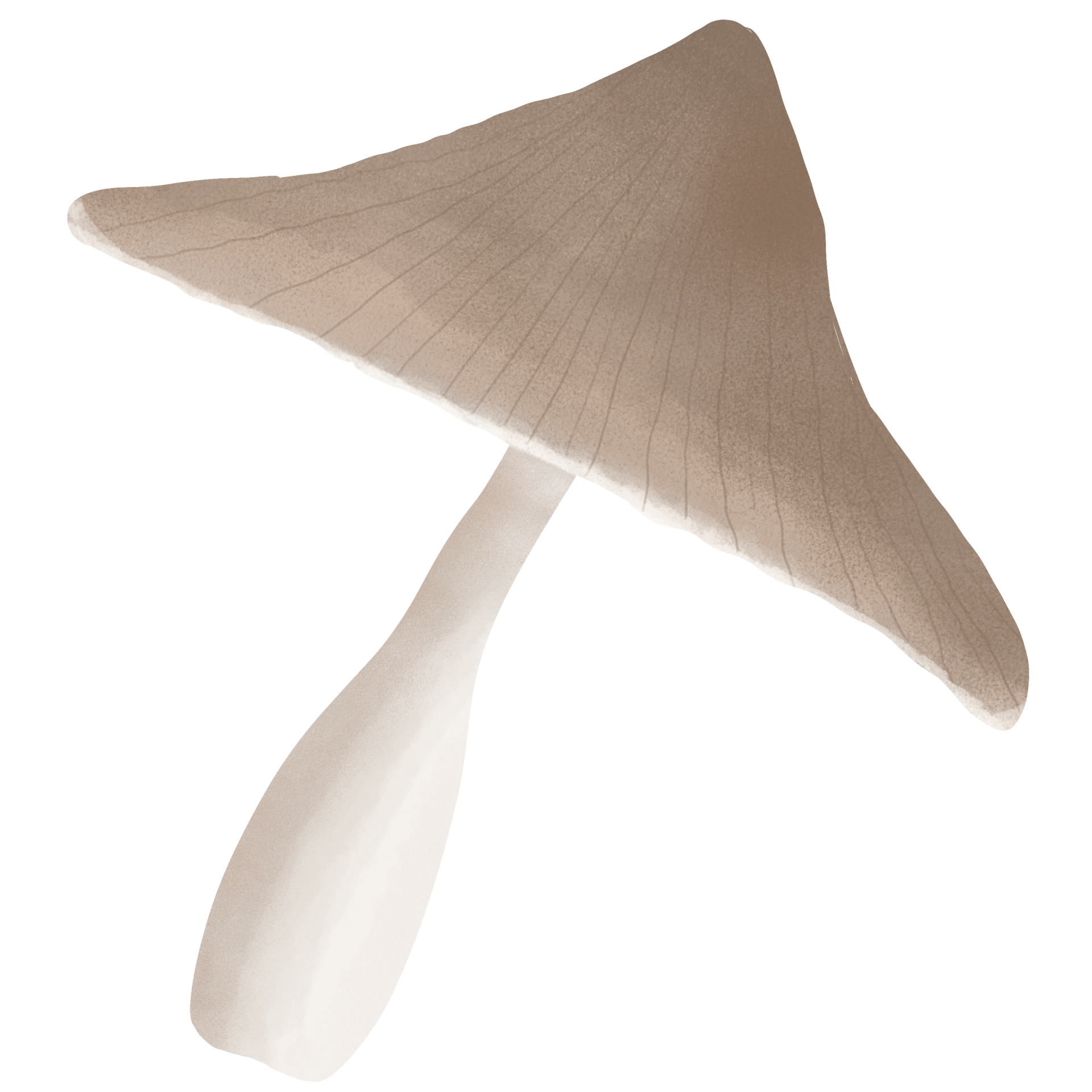 cute mushroom illustration. 34619650 PNG