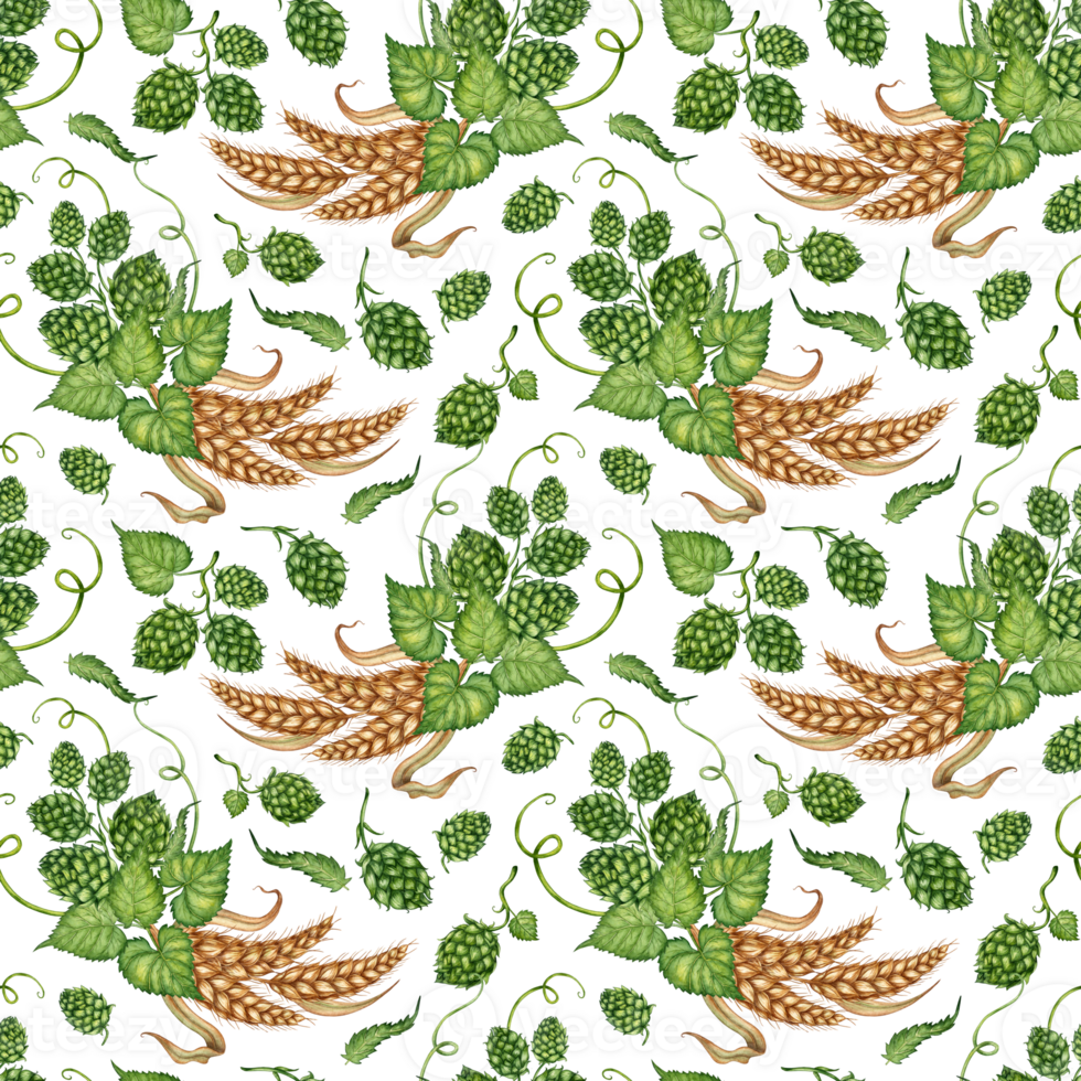 Watercolor illustration of a pattern of bunches of ripe wheat cobs, dried stalks, grains and a branch of fresh green hops isolated. Design element for advertising, beer festival png