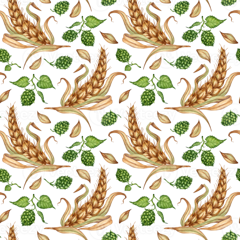 Watercolor illustration of a pattern of ripe ears of wheat, dried stalks, grains and a branch of fresh green hops isolated. Element for design, advertising, beer festival png