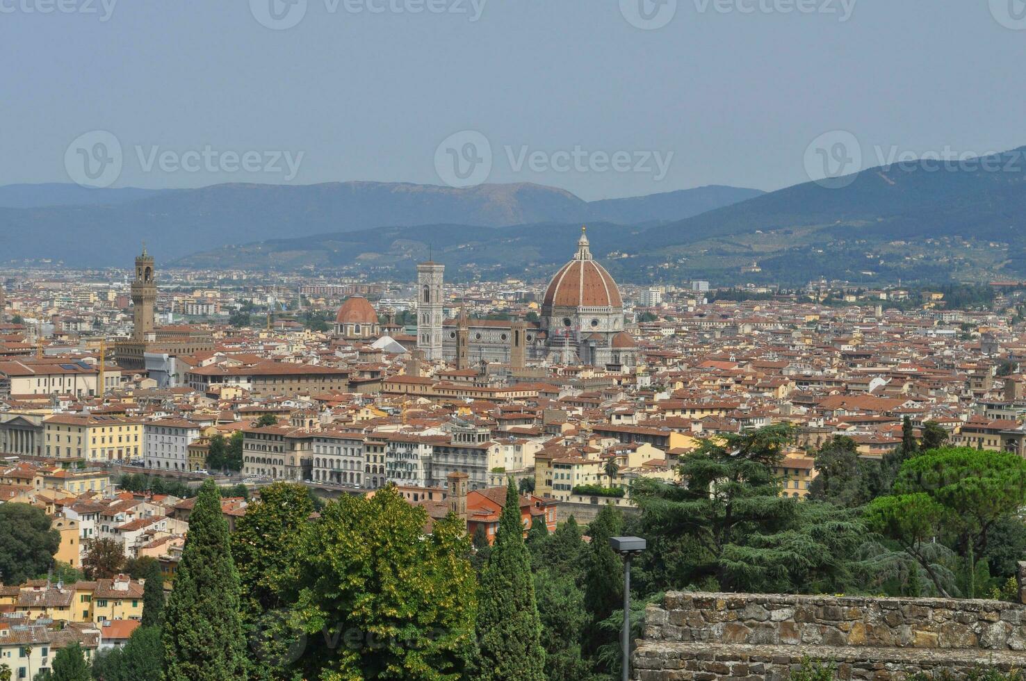 Aerial view of Florence photo