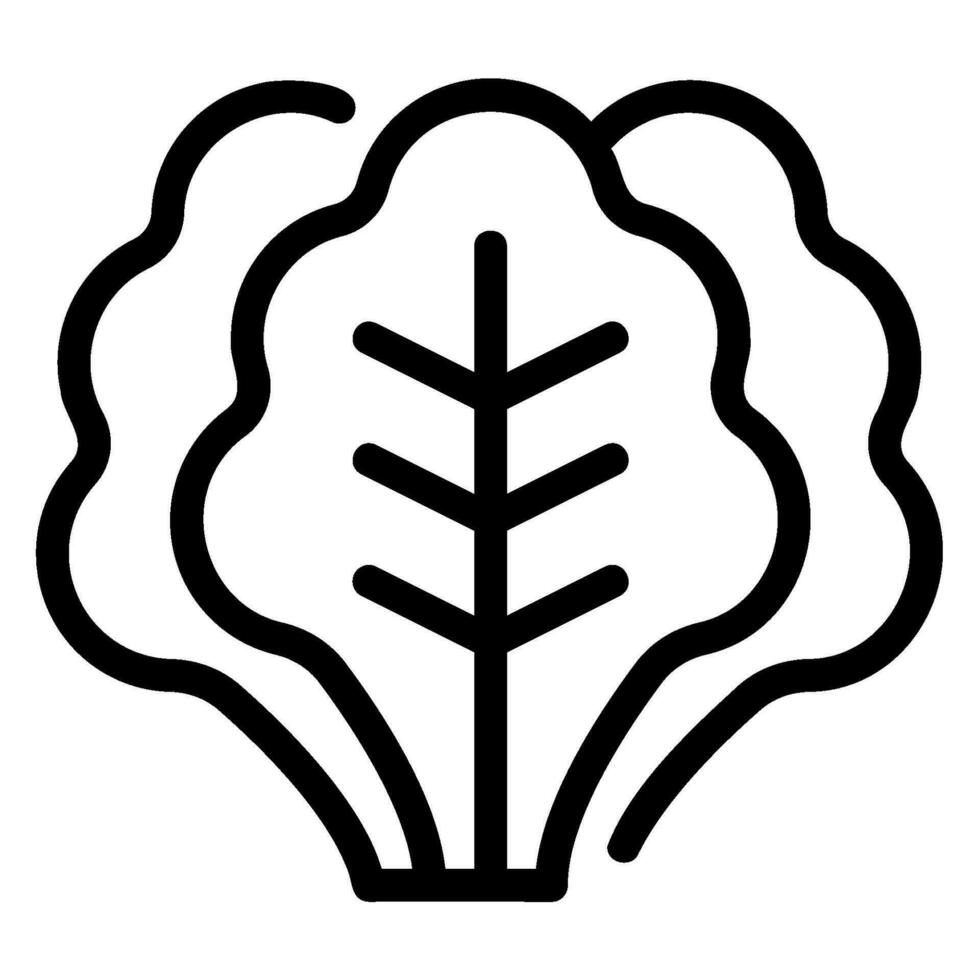 kale line icon vector