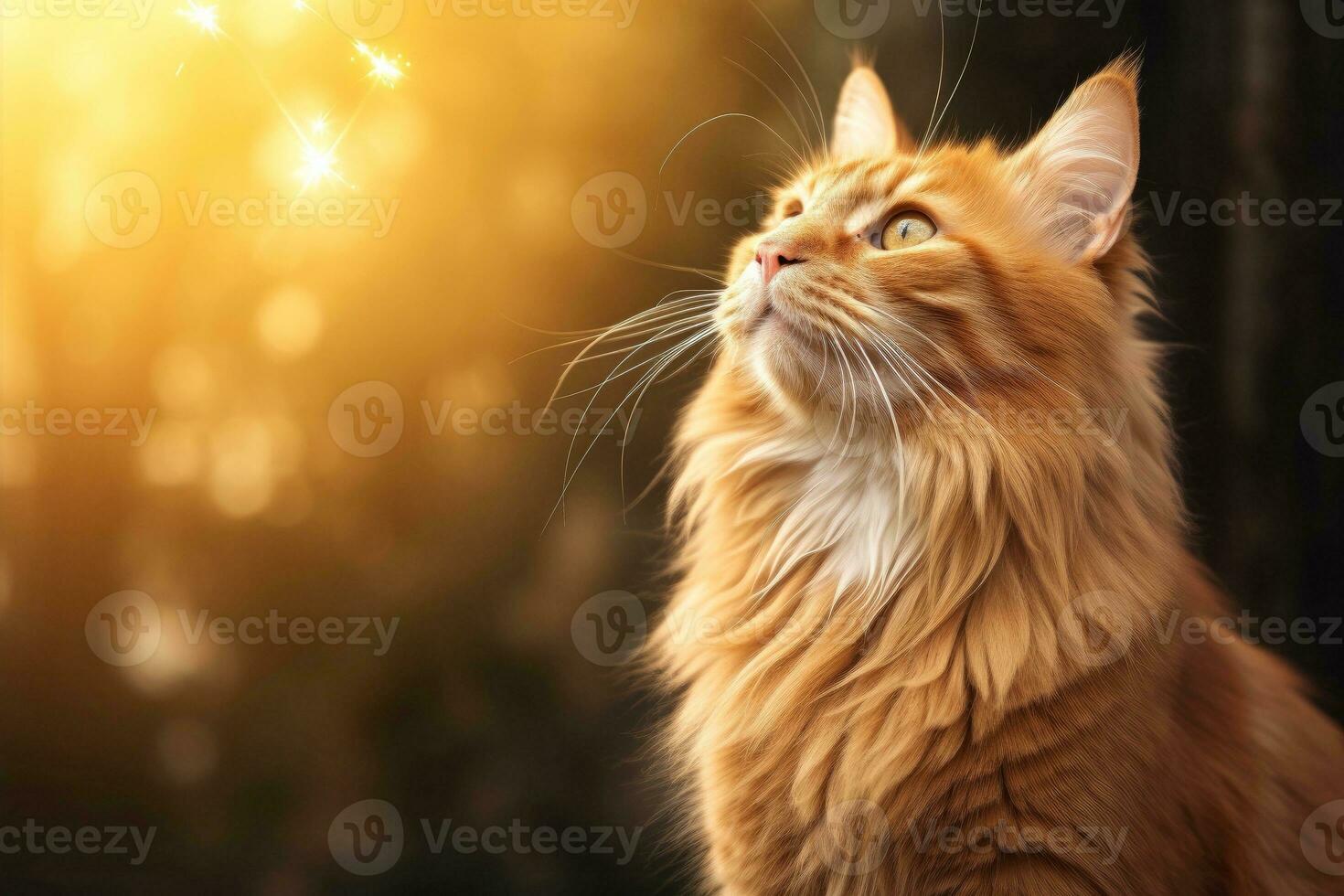 AI generated Close-up of cute cat gazing at something with beautiful bokeh background, Generative AI photo