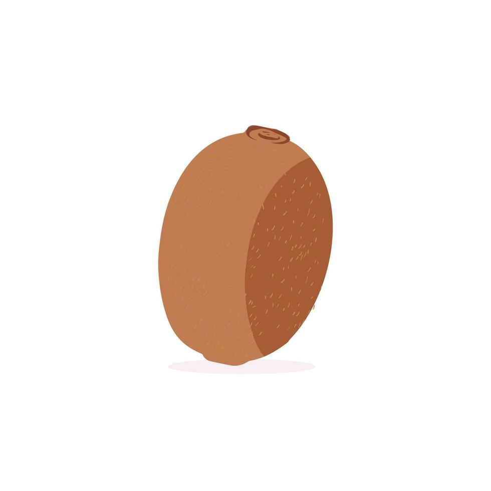 kiwi Fruta icono conjunto vector diseño. maduro todo kiwi Fruta y medio kiwi Fruta aislado en blanco antecedentes. chino Grosella medio cruzar sección plano color vector icono para comida aplicaciones y sitios web