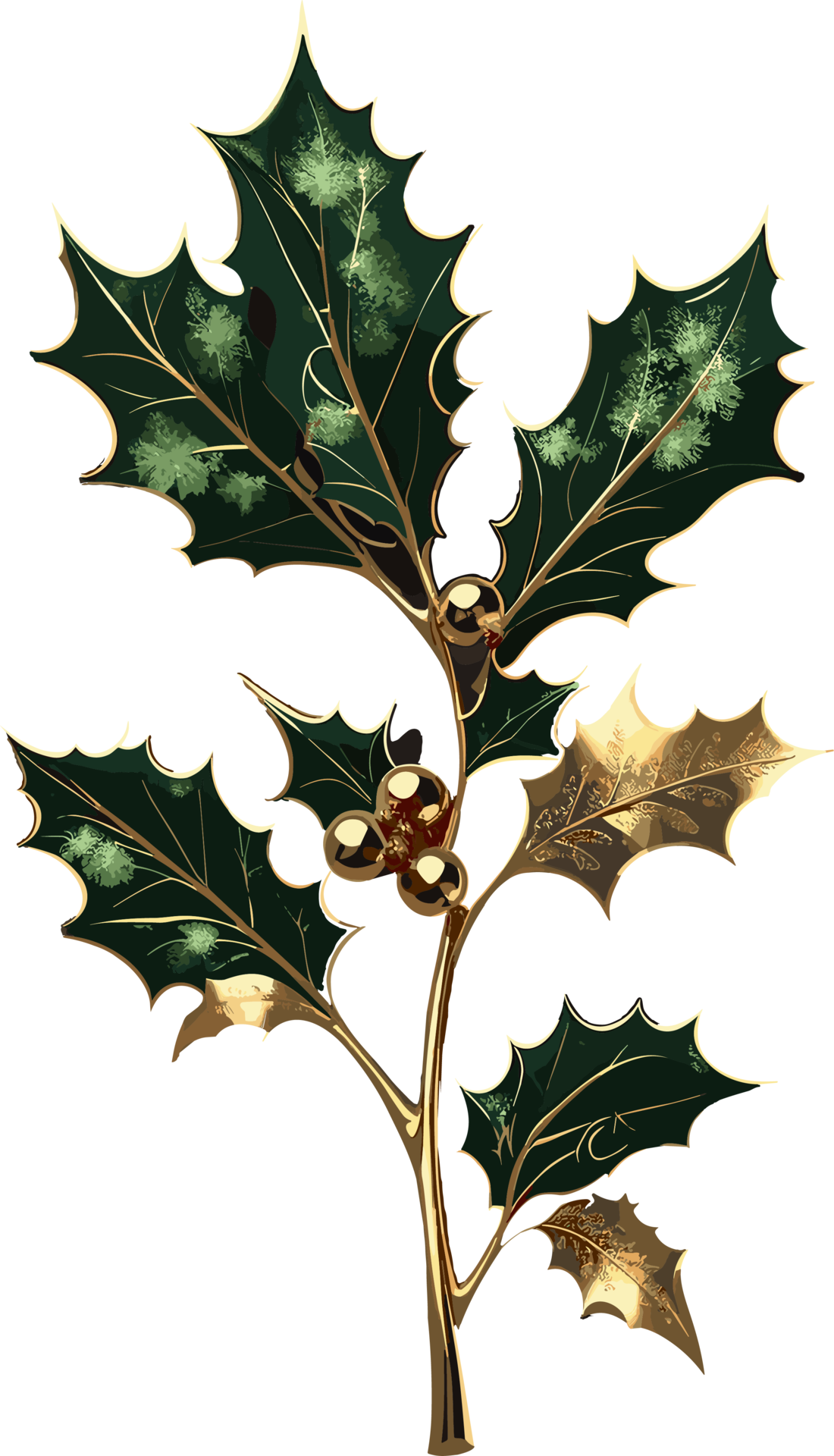 christmas-holly-leaf-ai-generate-34625991-png
