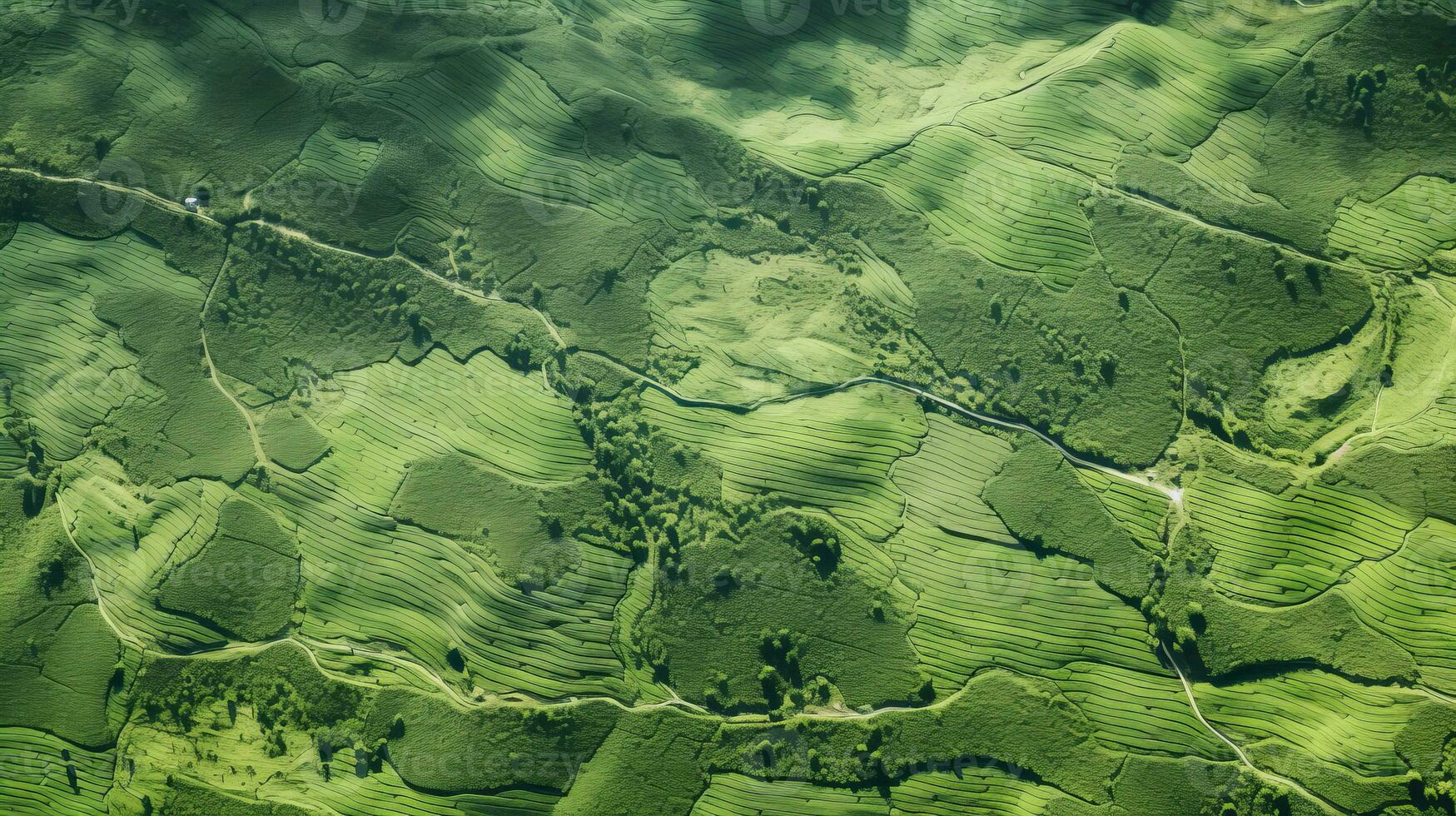 AI generated Tea plantation landscape, top view texture photo