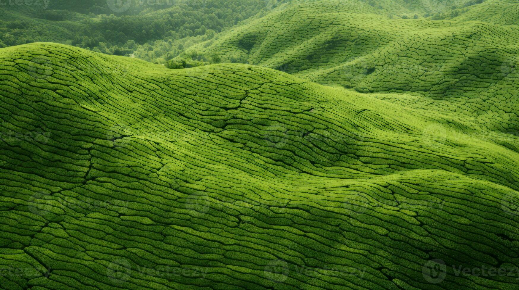 AI generated Green tea plantation, top view texture photo