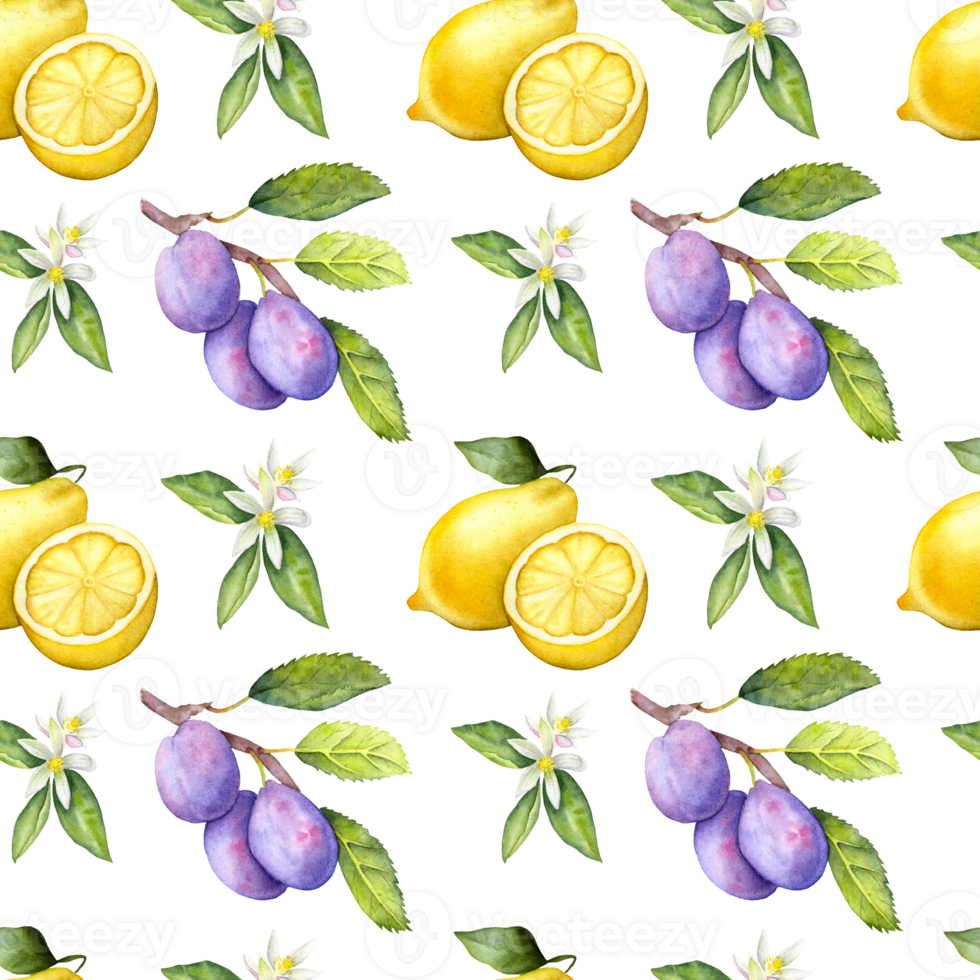 Seamless watercolor fruit pattern with lemons, plums and flowers. Hand painted botanical pattern with a lemon and plums. png