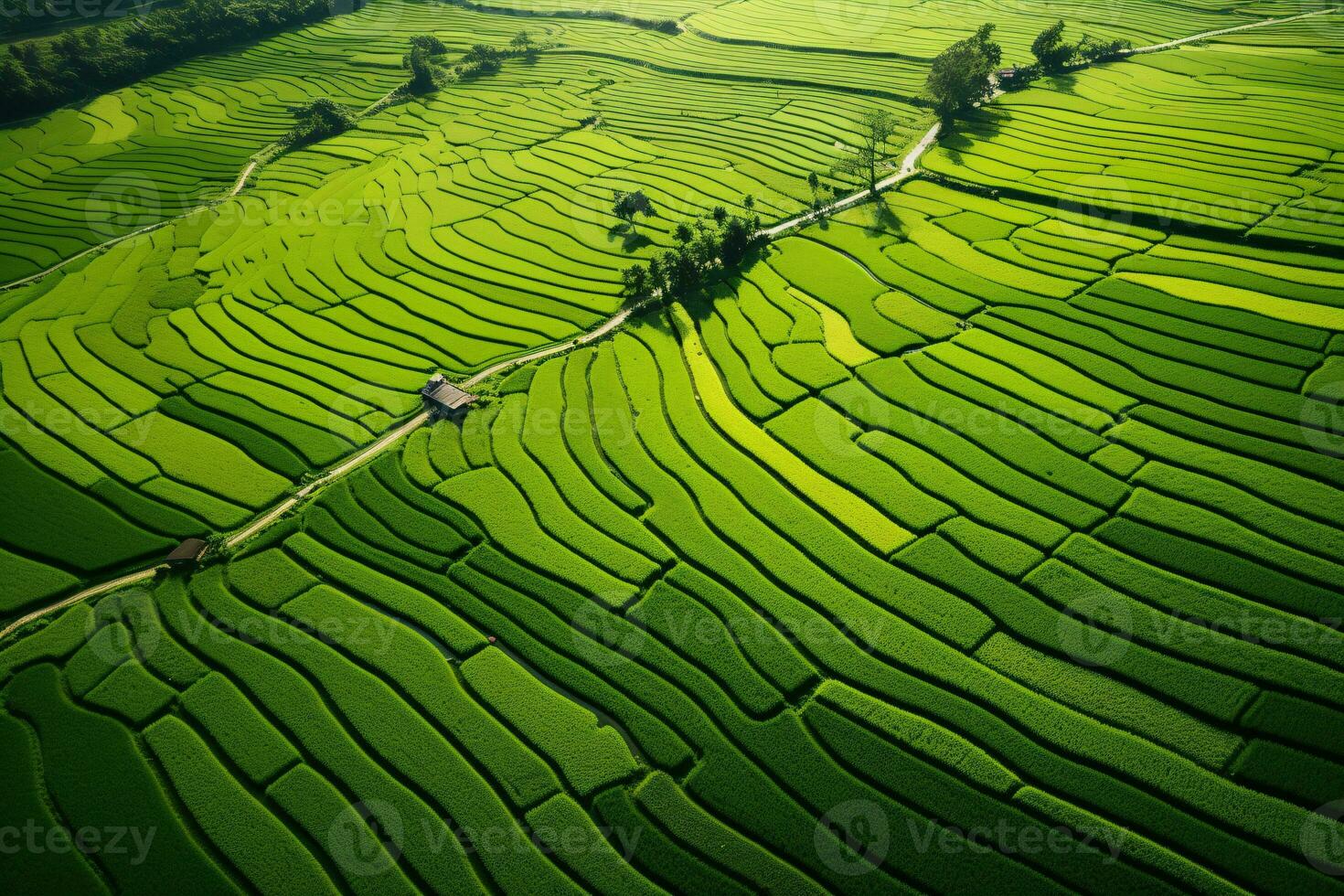 lozano verde arroz campos zumbido vista. sereno campo paisaje fotografía. ai generativo foto