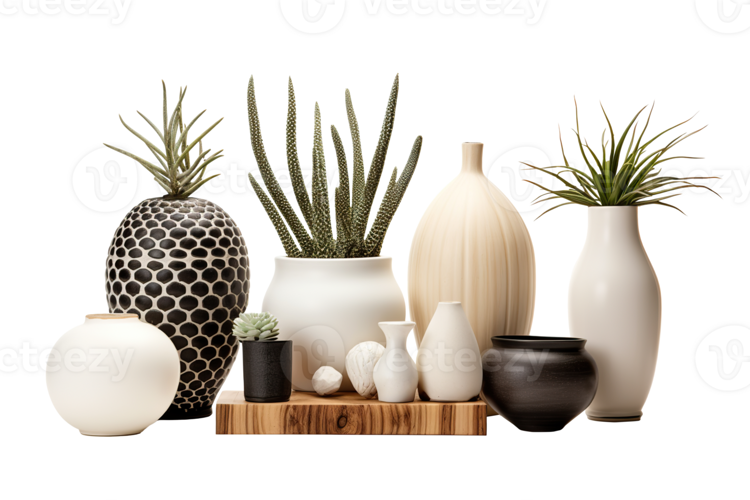 Elegant, decorative vases and planters with succulents and other plants, on transparent background. Interior accessories, cut out. Home decor, front view. PNG. AI Generated png