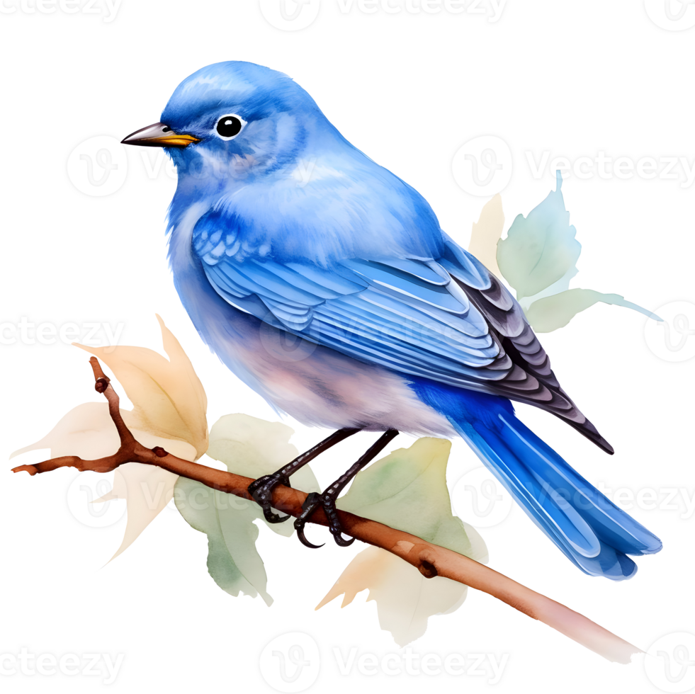 Watercolor illustration of a blue bird on a transparent background. High quality. AI Generative png