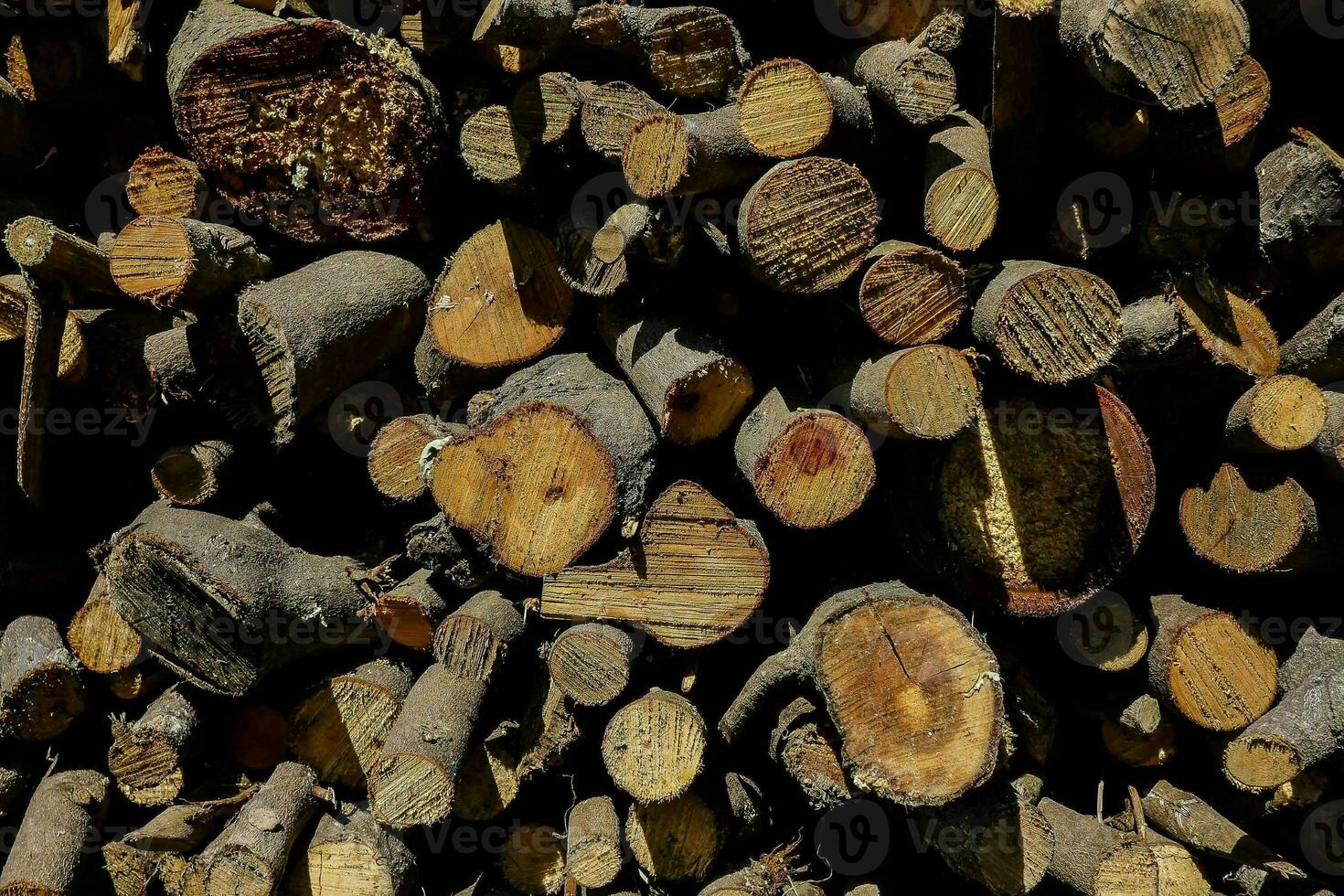 a pile of logs photo
