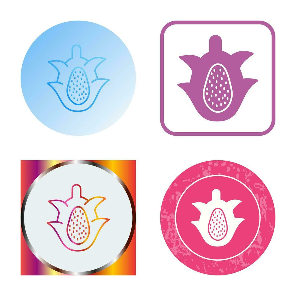 Dragon Fruit Vector Icon