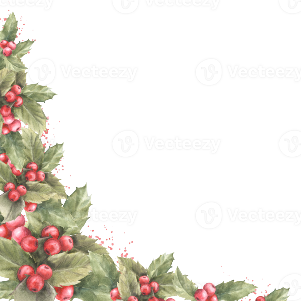 Watercolor painted illustration corner frame of red holly leaves and berries Traditional plant for Christmas or New Year card, winter holiday celebrate invitation, decor. png