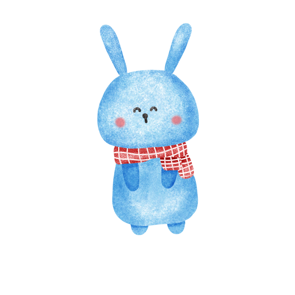 Cute bunny cartoon character of winter. png