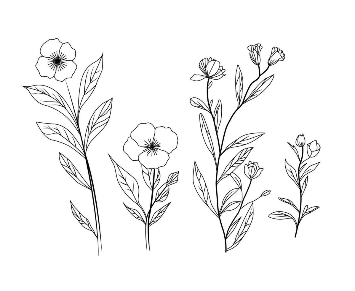colorante página de vector floral rama y minimalista flores
