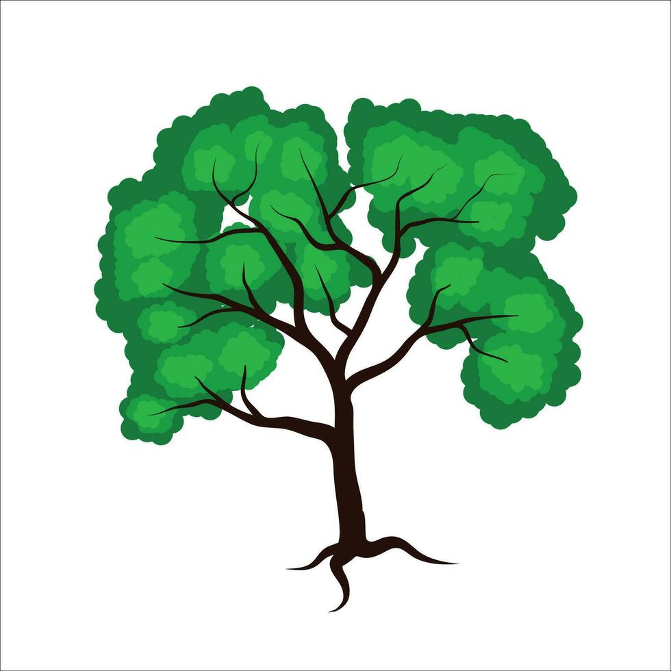 árbol dibujar valores vector ilustración