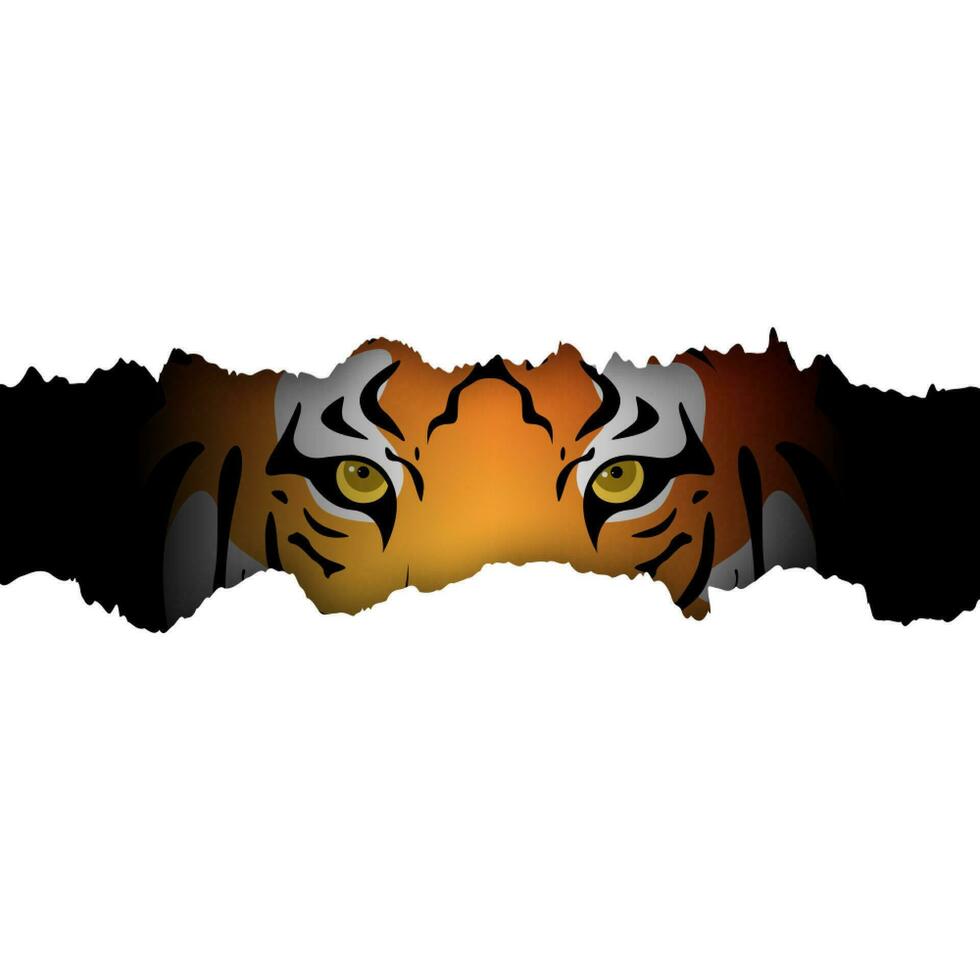 Tiger looks through hole in torn white paper. vector