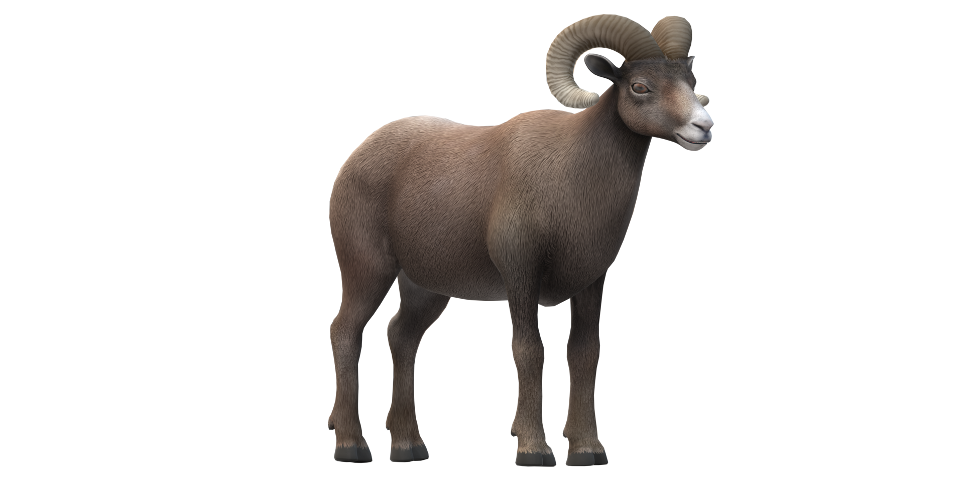 Ram isolated on a Transparent Background png