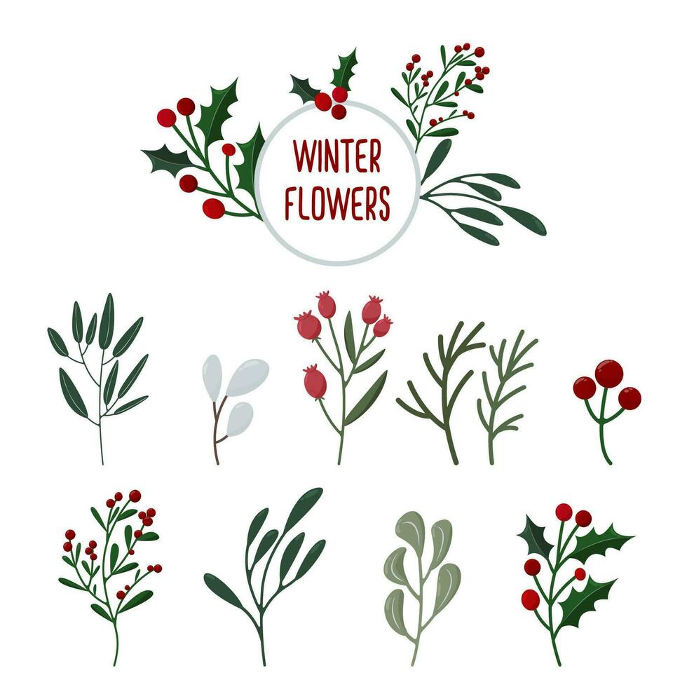 Set of Christmas plants. Winter botanical elements pack. Festive Xmas decor design, plant branches, flora, foliage vector