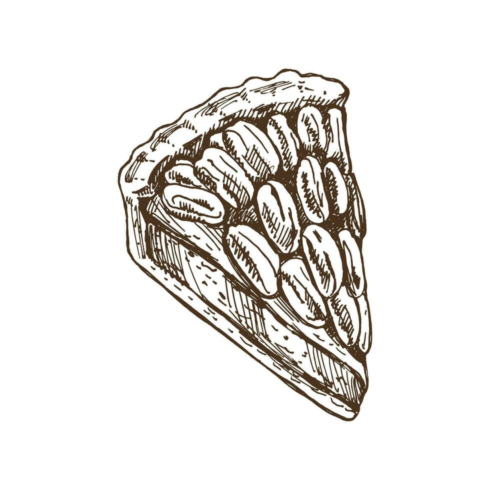 Hand-drawn sketch of piece of pecan pie with cream topping. Vector illustration of baking. Homemade bakery drawing. Dessert food for recipes, restaurant. Food for Thanksgiving, Christmas