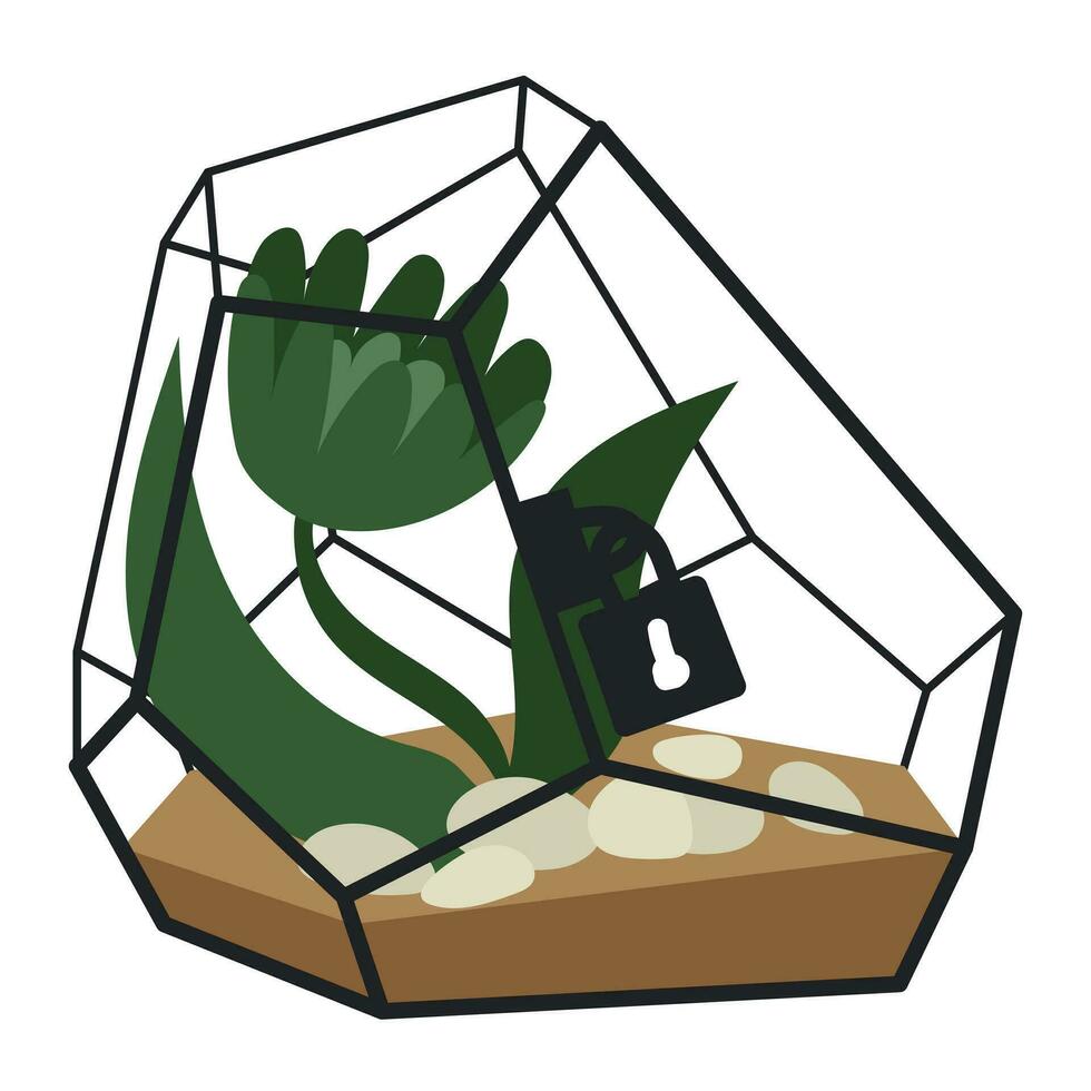 Vector illustration with a glass dodecahedron of a florarium isolated on white. Succulent in a geometric flower pot in a flat style. A plant in a cage with a closed lock, a glass cage