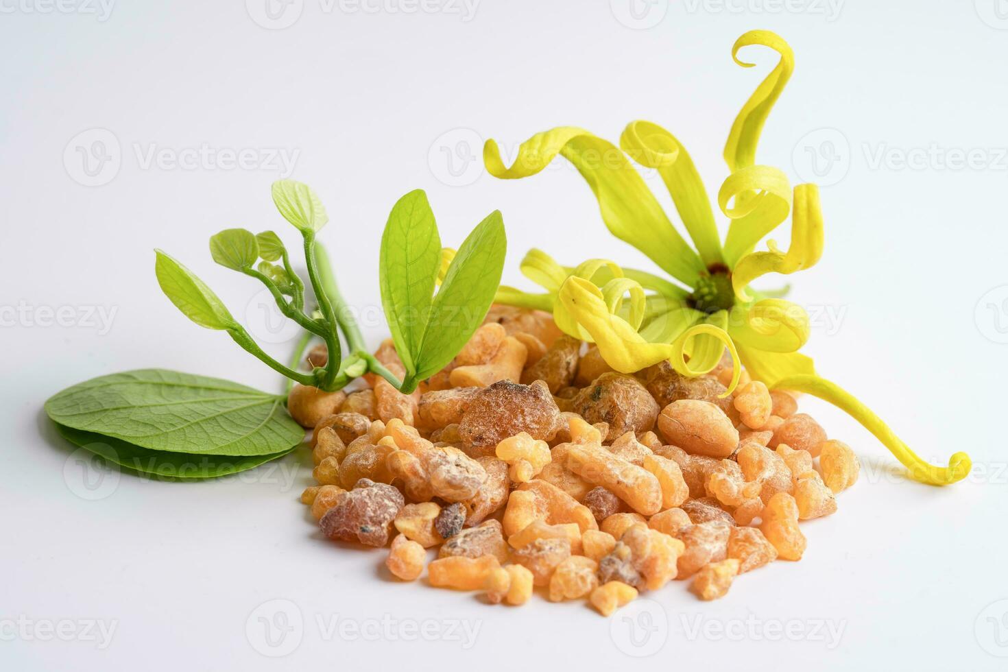 Frankincense or olibanum aromatic resin isolated on white background used in incense and perfumes. photo