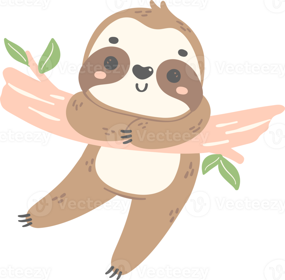 Cute Baby Sloth Hanging cartoon nursery illustration png