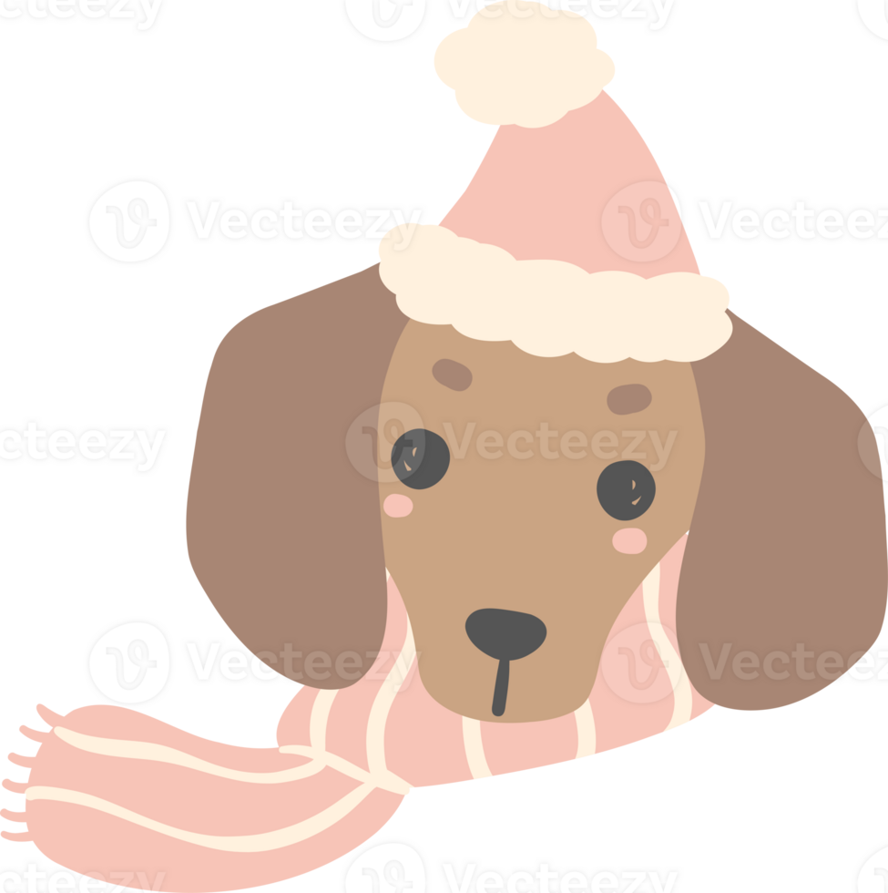 Cute Dachshund Christmas face, Pink Christmas Animal cartoon illustration png