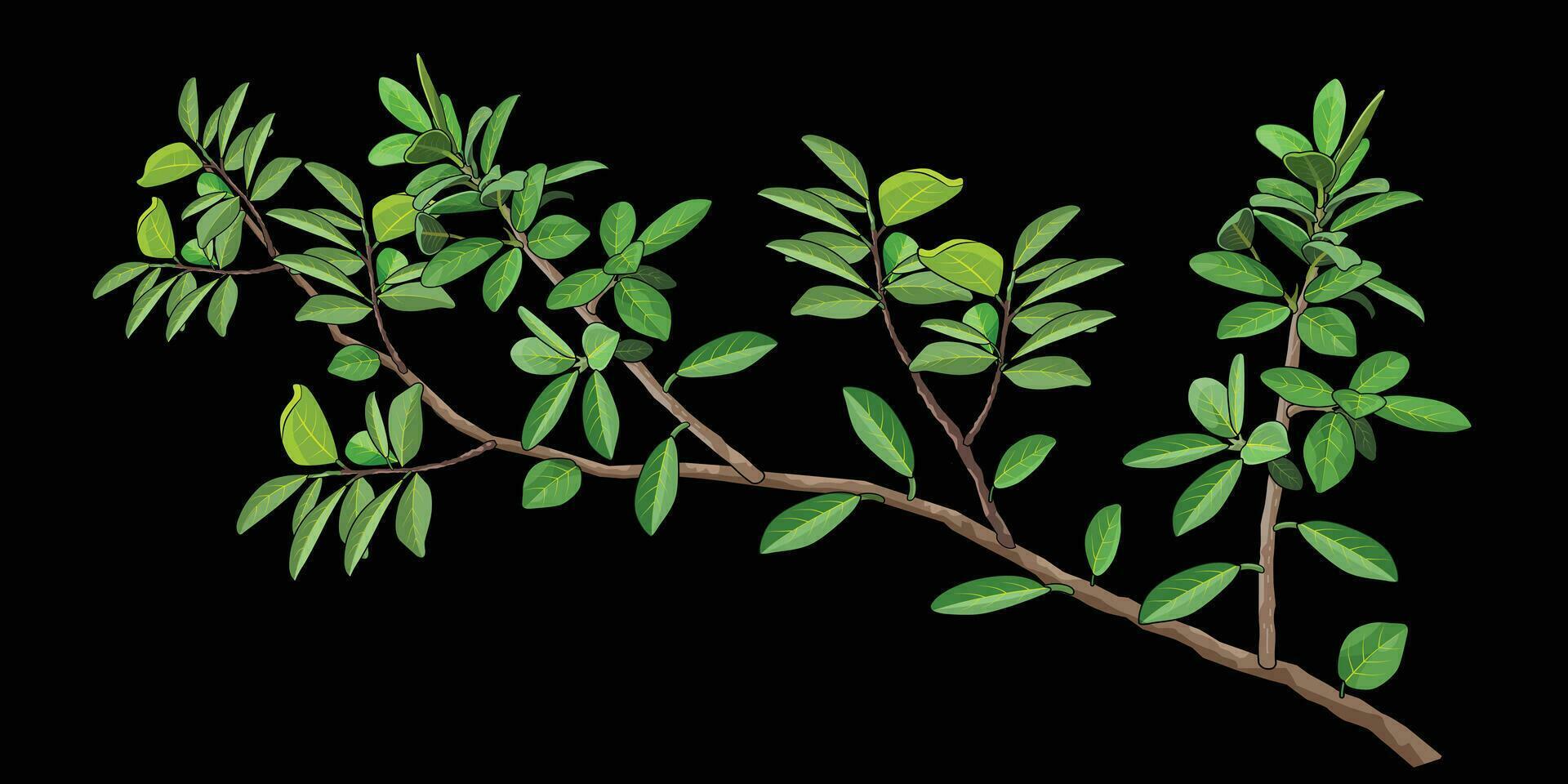 secretario árbol con verde hojas en un oscuro fondo, adecuado para folleto, folleto, folleto. vector