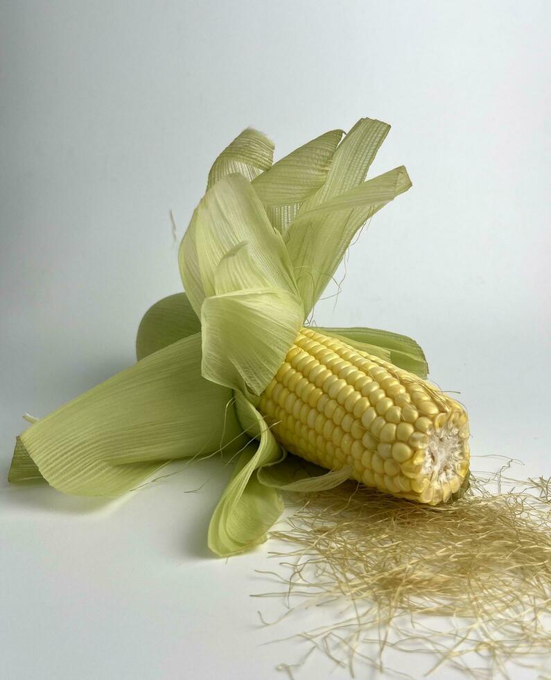 Yellow vegetable seed, sweet whole corn for cooking ingredients with corn hair fiber grain parts. Raw food photography isolated on plain white background. Serat jagung kuning manis. photo