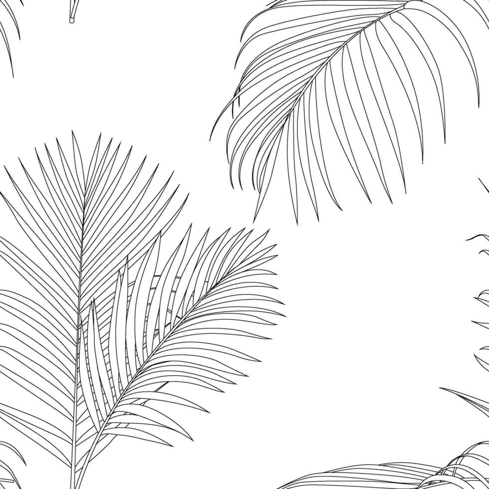 Areca palm leaves pattern line art for decorate your designs with tropical illustration isolated on white background vector