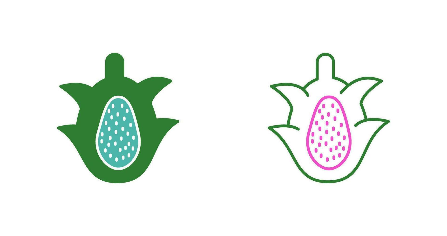 Dragon Fruit Vector Icon