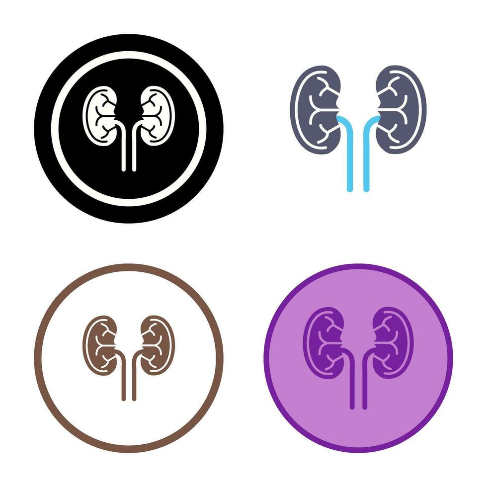 Kidney Vector Icon