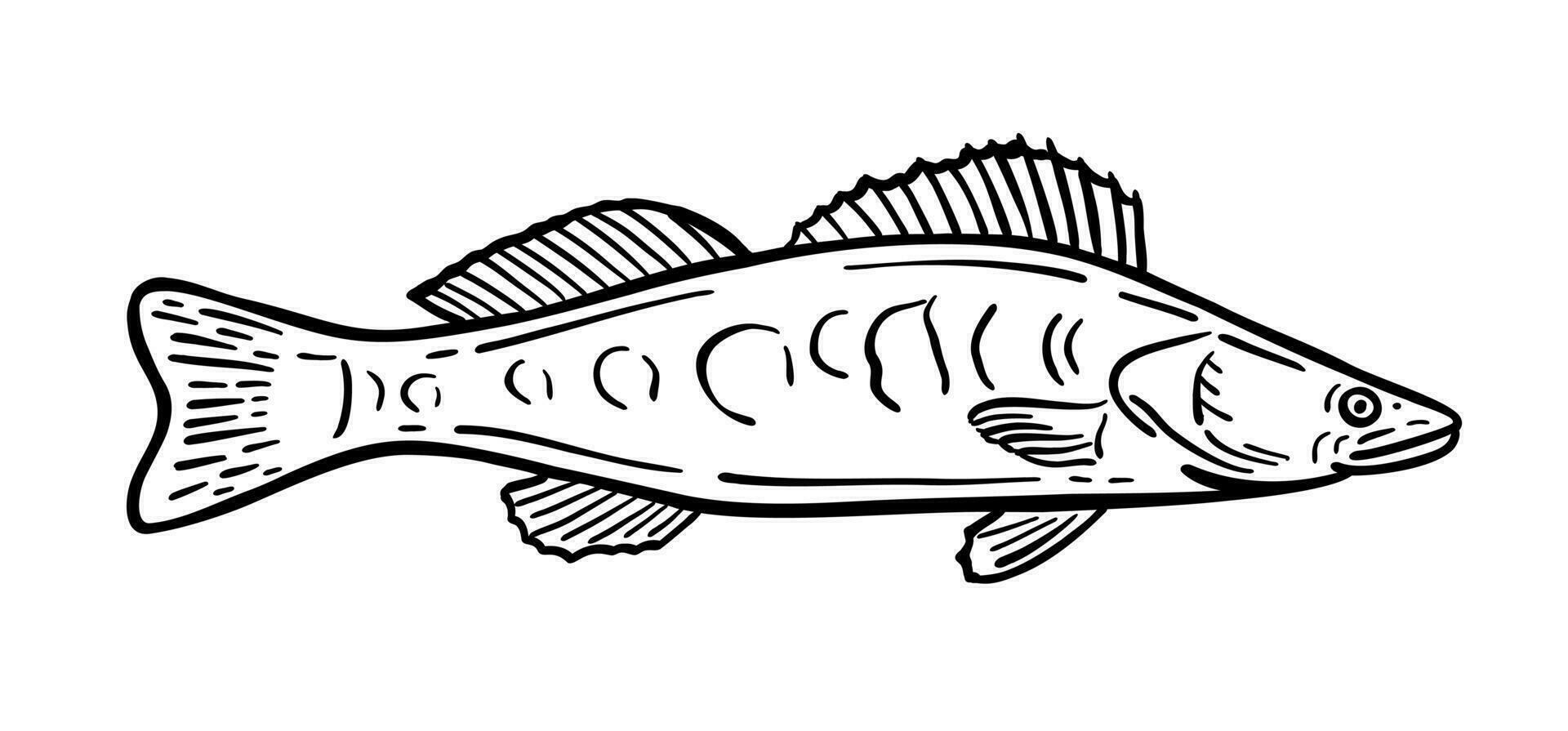 pescado es un residente de el mar. vector ilustración en garabatear estilo