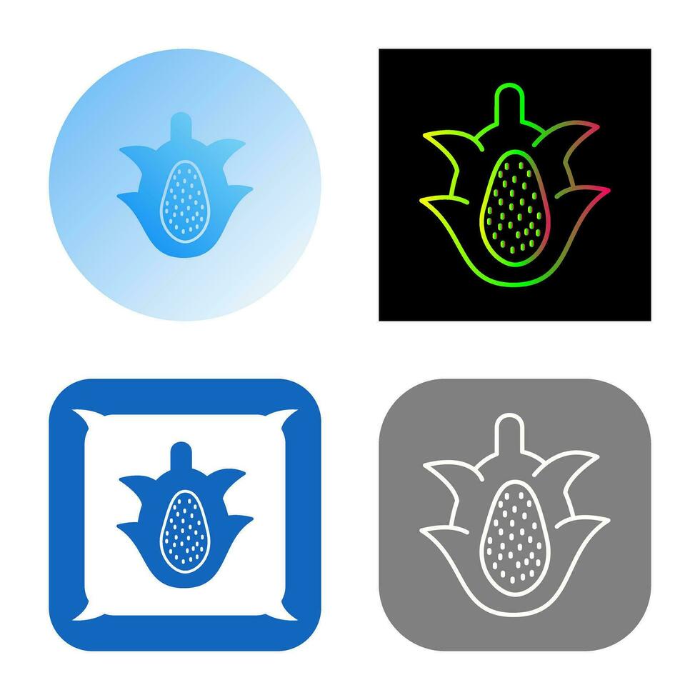 Dragon Fruit Vector Icon