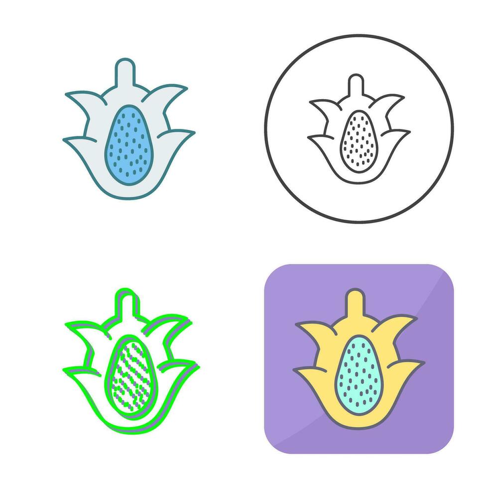 Dragon Fruit Vector Icon 34683754 Vector Art at Vecteezy