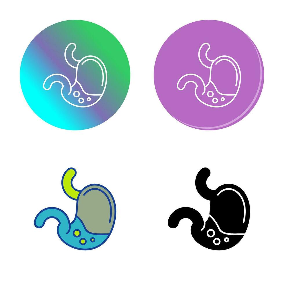 Stomach Vector Icon