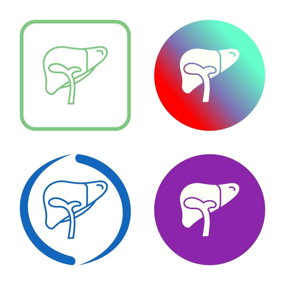 Liver Vector Icon