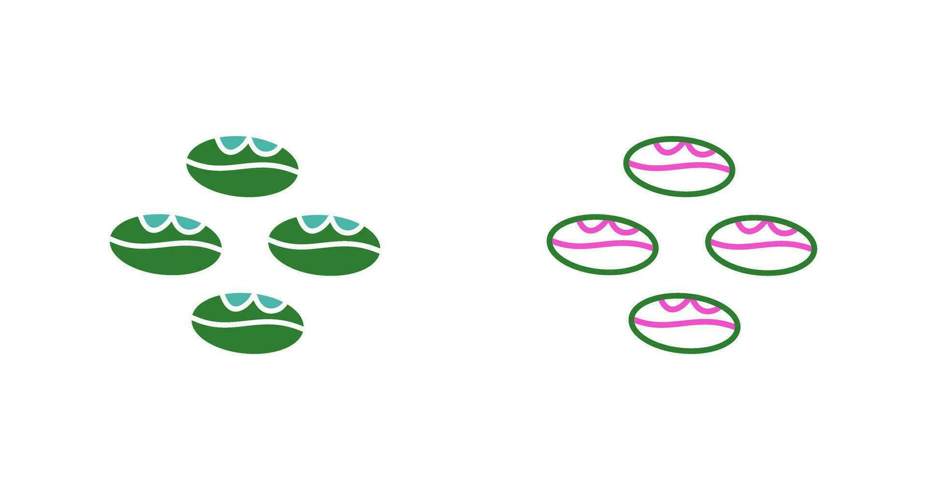 Coffee Beans Vector Icon