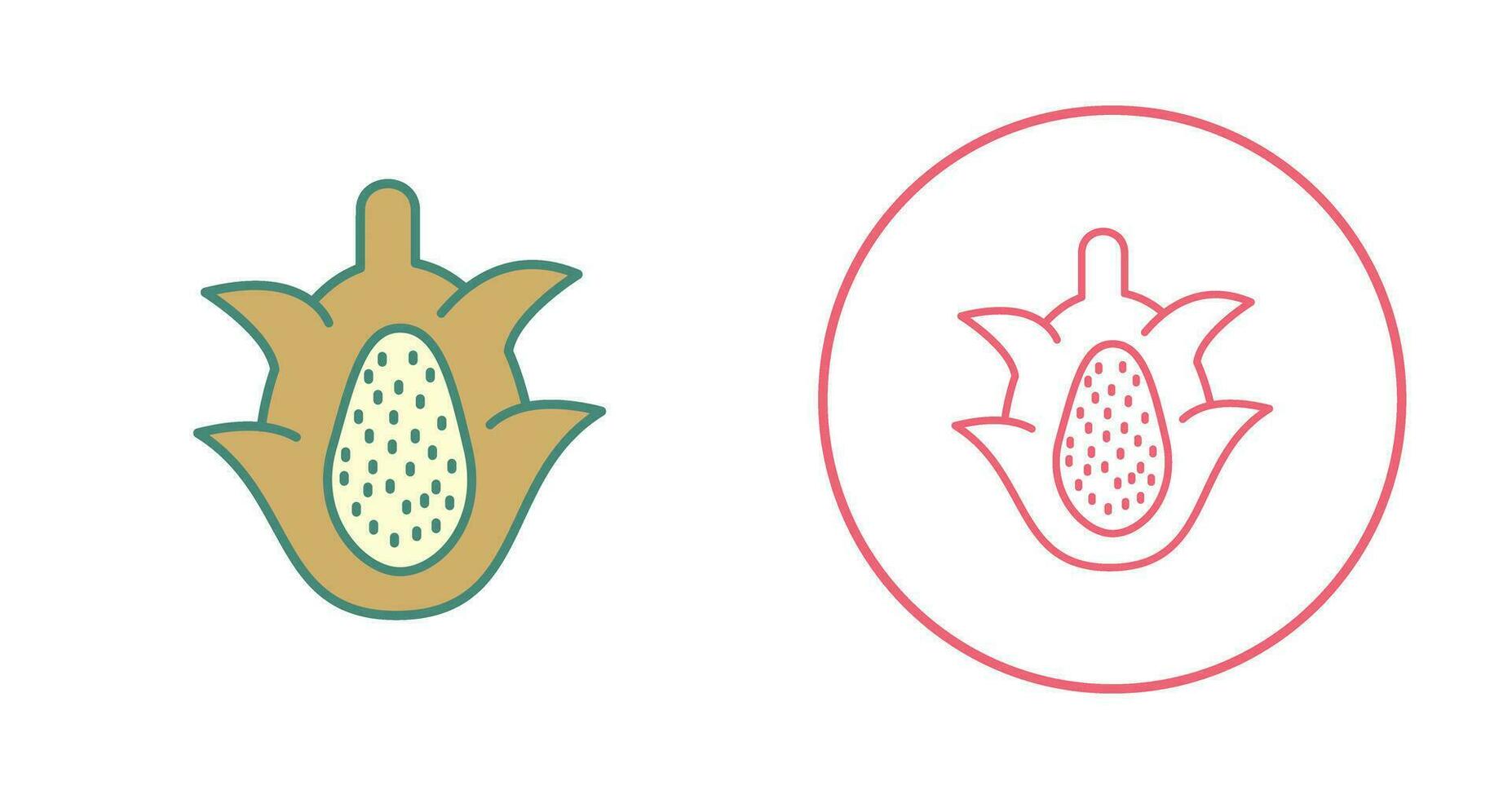 Dragon Fruit Vector Icon