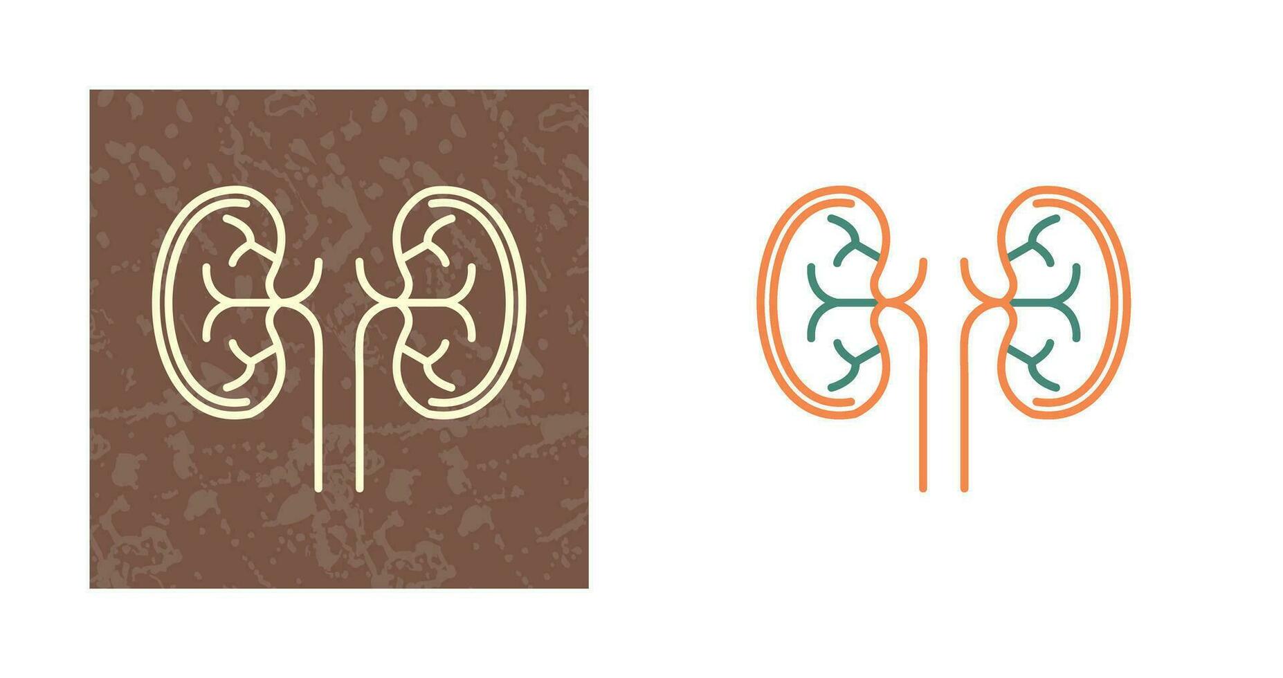 Kidney Vector Icon