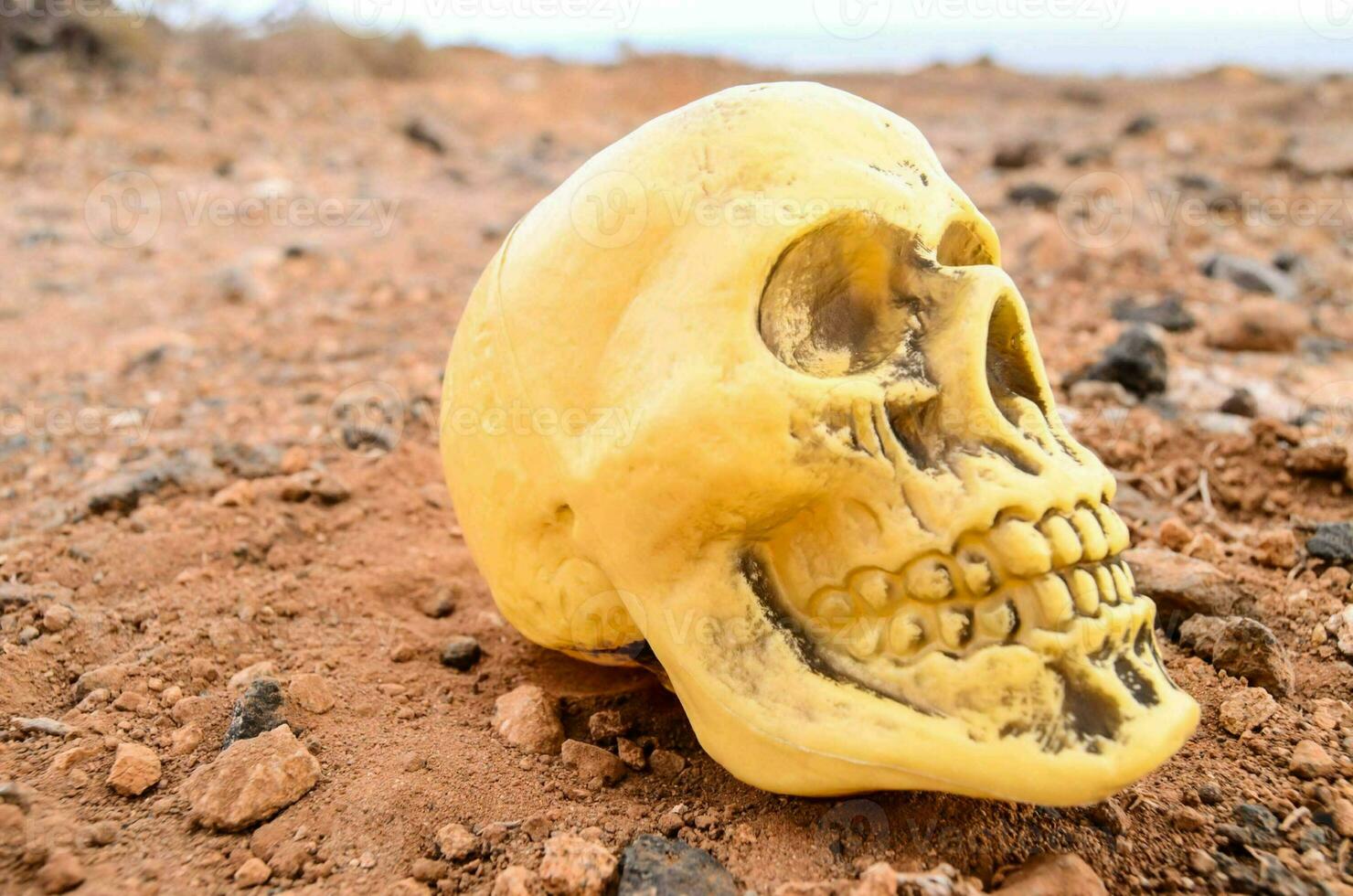 a yellow skull on the ground in the desert photo