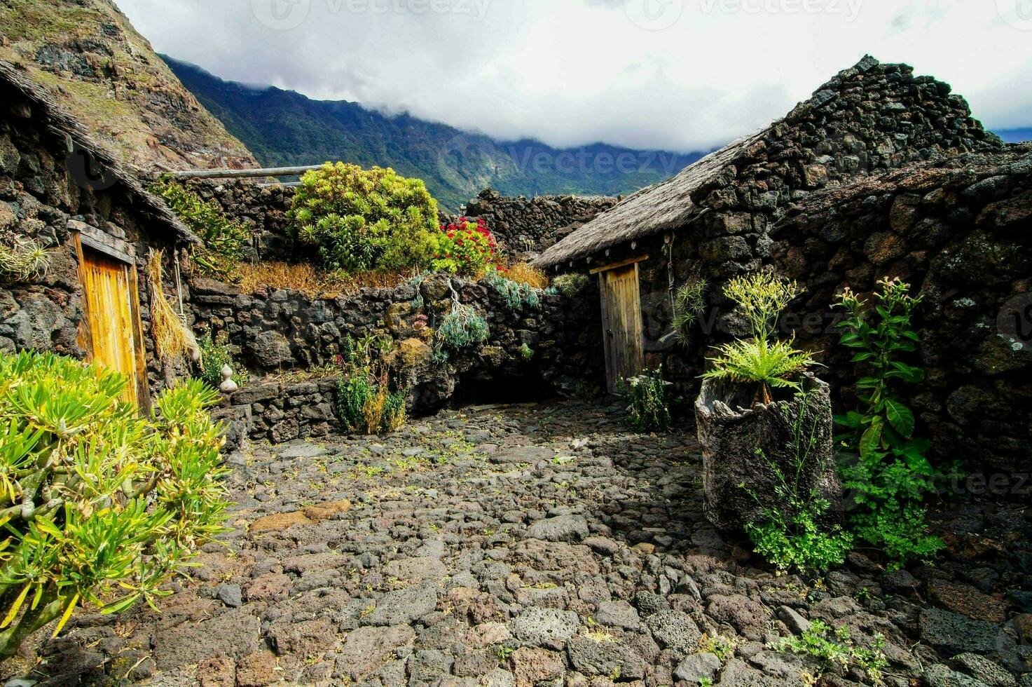 a stone path leads to a small house with plants and rocks photo