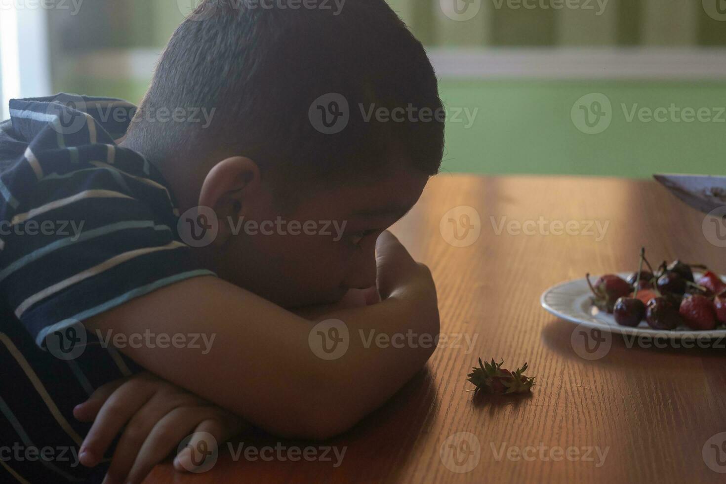 A little boy eating strawberries. Summer food. A young kid eats a yummy strawberry in hot summer day photo