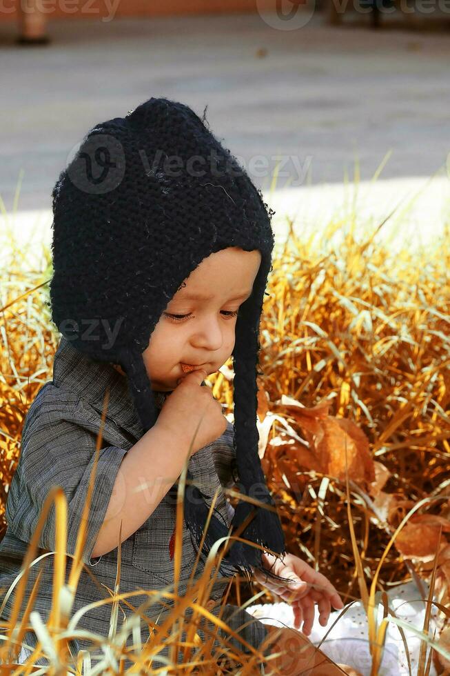 retrato de 2-3 años antiguo niño en otoño jardín foto