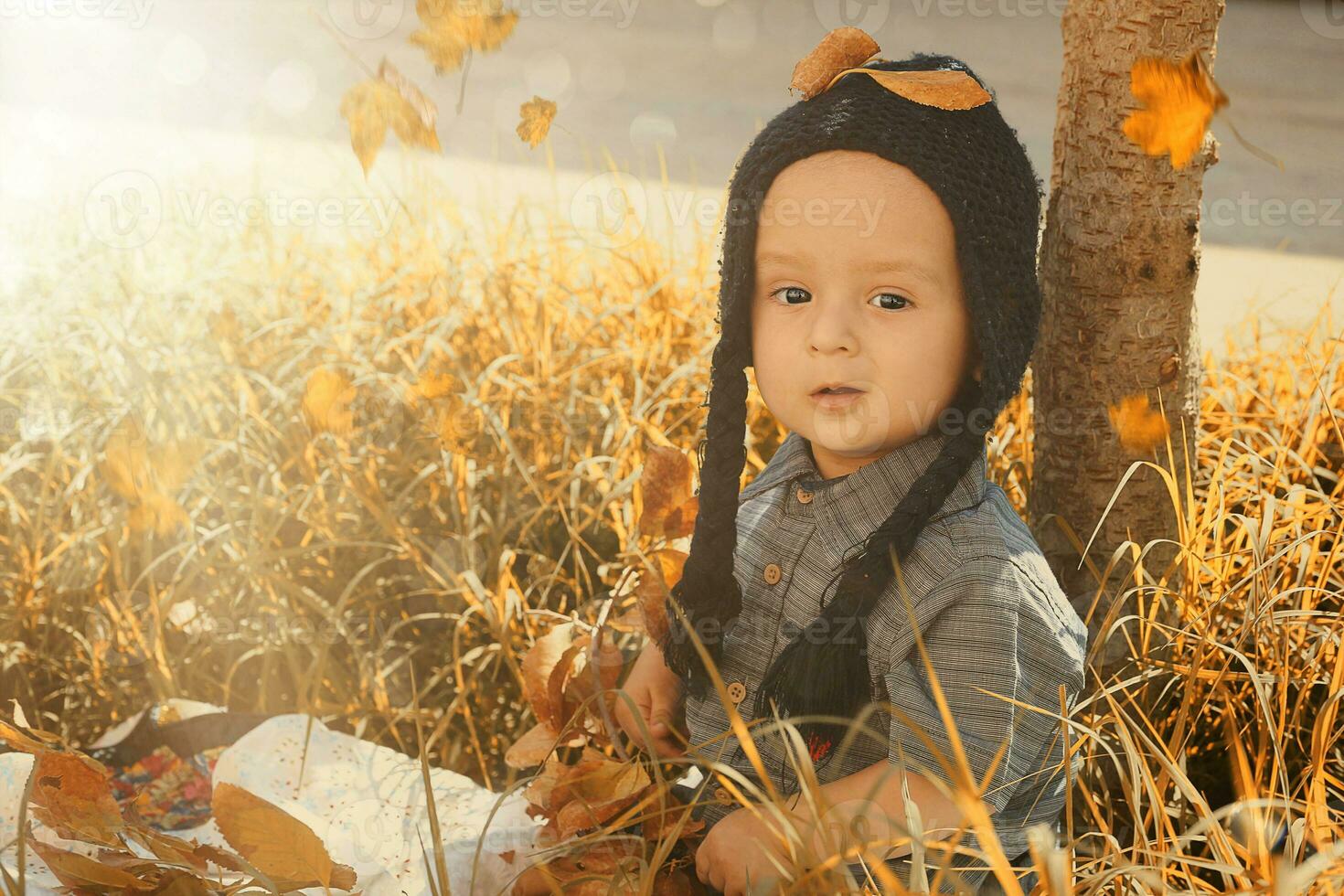 retrato de 2-3 años antiguo niño en otoño jardín foto