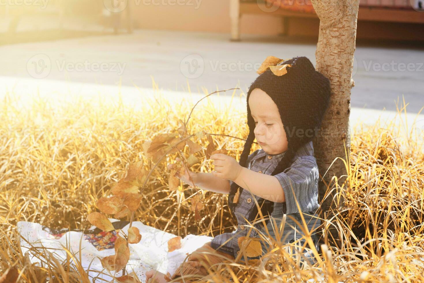 retrato de 2-3 años antiguo niño en otoño jardín foto