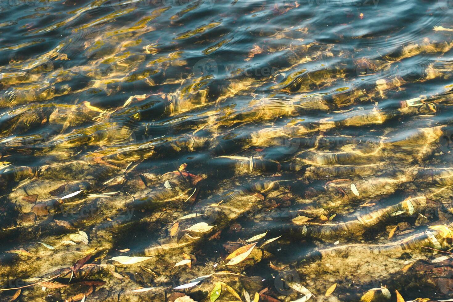 river surface texture, waves shining in the sun. photo
