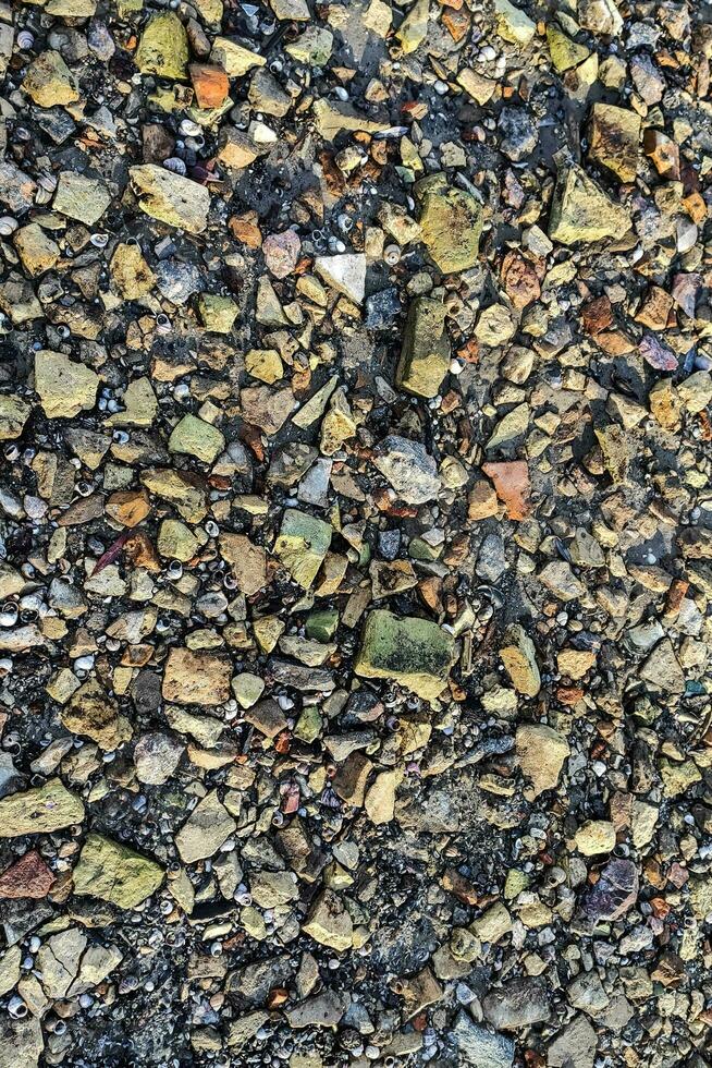 The bottom of the river after low tide, flooded remains of houses, bricks, dishes photo